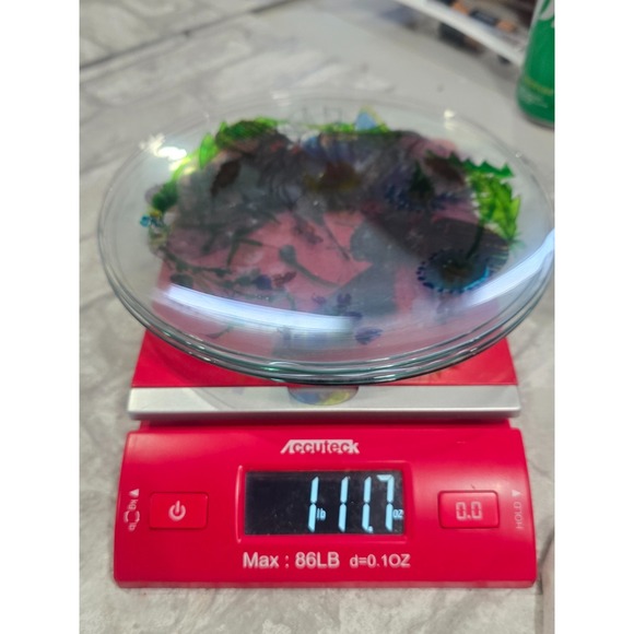 Hand painted Signed Glass‎ Salad Dessert Plates Reverse Floral Entomologist - Picture 15 of 16